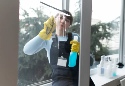 Nettoyage de vitres intérieures et extérieures à Vinzier
